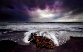 New Zealand Beach Driftwood Sea Sky Autumn Exposure Wallpaper