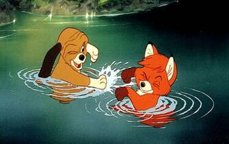 The Fox And Hound HD Wallpaper High Quality All