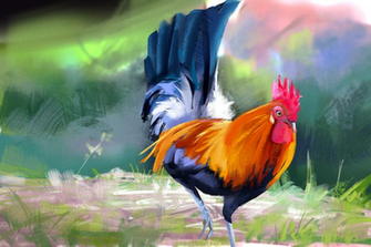 Bird Study By Mathiaszamecki