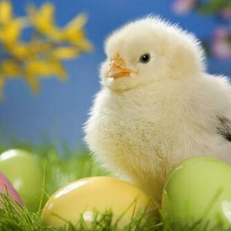 Easter iPad Wallpaper
