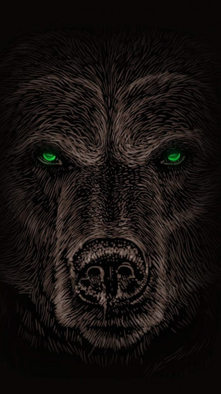 Grizzly Bear iPhone Wallpaper In