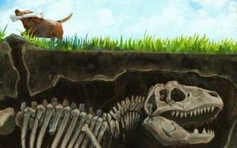 Bones Wallpaper Dogs Desktop