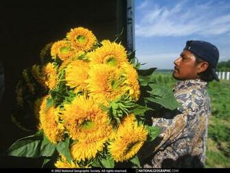 Of The Day Picture Photography Wallpaper National Geographic