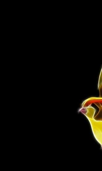 Pokemon Black Background Pidgeotto Tauboga Oely