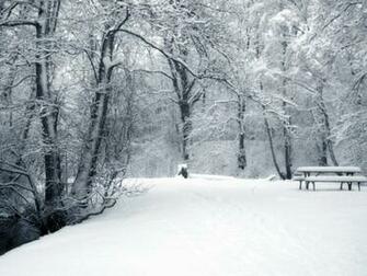 Best Wallpaper Collection Winter