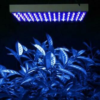 Image Blue Led Grow Light