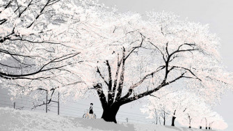 Explore The World Of Anime White Wallpaper