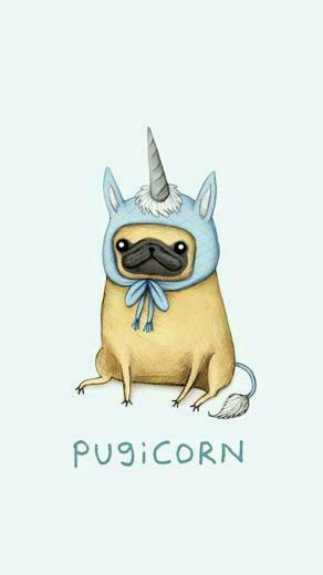 Henna Wallius On Dogs Pugs Pug Wallpaper Funny