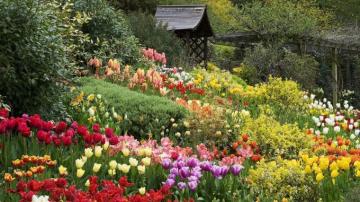 Flower Garden English Wallpaper On