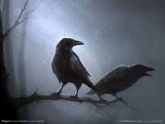 Ravens Wallpaper