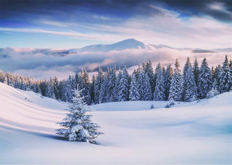Amazon Beleco Fabric Winter Snow Mountain And Forest