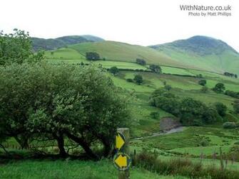 Landscape Countryside Desktop Background Wallpaper