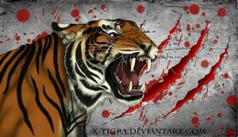 X Tigra Wallpaper By