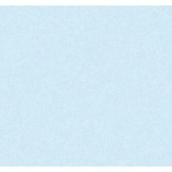Light Blue Strippable Prepasted Classic Wallpaper At Lowes