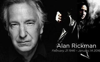Alan Rickman Wallpaper X Net