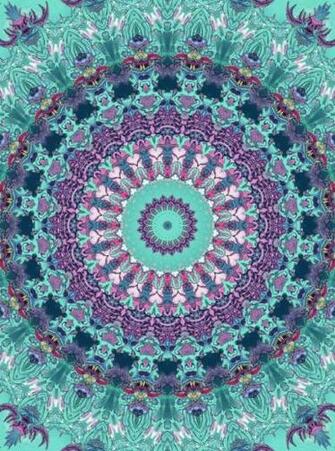 Amo Mandalas Flower Of Life Mandala Painting And