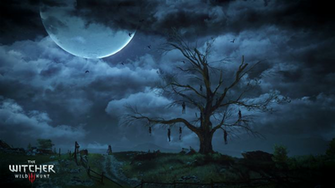 The Witcher Wild Hunt Computer Wallpaper Desktop Background