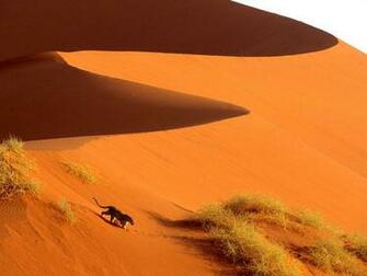Wallpapere Trecerea Dune Wallpaper