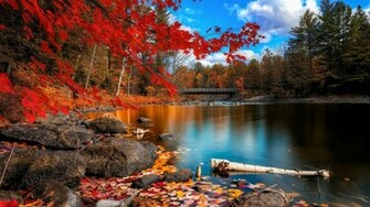 Fondos De Descarga Windows Theme HD Wallpaper