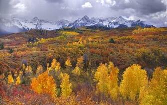 HD Wallpaper Colorado Rockies X Kb Jpeg