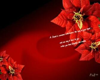 Poinsettia Wallpaper