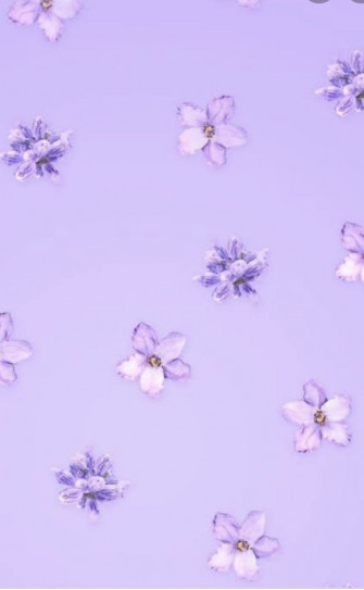 Soumyadiwan On Pastel Colour Palette Light Purple