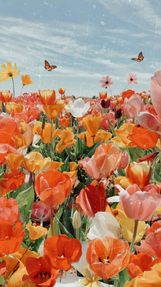Flower Flowers Plants Botanical Floral Beautiful Wallpaper