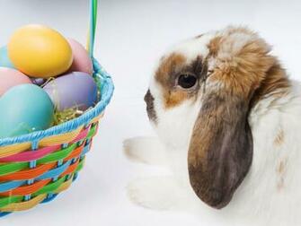 Cute Little Easter Bunny Pictures Cool Christian Wallpaper