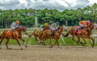 HDr Horse Racing Horses Riders Race Track Wallpaper
