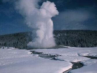 Old Faithful In Yellowstone