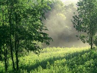 Nashville Te Forests Photography Desktop Wallpaper S