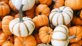 October Holidays Daily Weekly And Monthly Observances