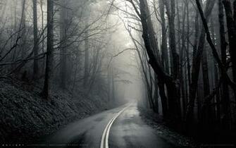 Into The Mist Wallpaper HD