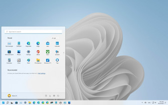 Windows Christmas Snow White Bloom Wallpaper