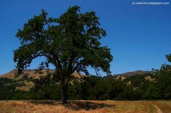 Wallpaper Home Usa California San Francisco Bay Area