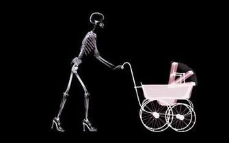 High Resolution X Ray Desktop Wallpaper Enforen S Site