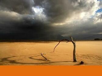 Desert Scene Wallpaper