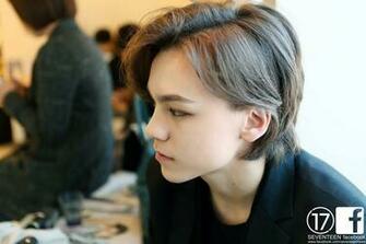 Seventeen Vernon
