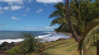 Screensavers Wallpaper Tropical Screensaver Beach Mauai