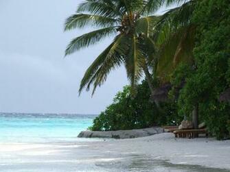Peartreedesigns Famous Nation Maldives Island