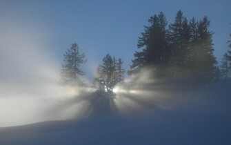 Winter Sun Wallpaper