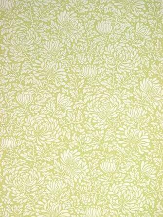 Click Here For A Larger Image Ofthe Chrysanthemum Wallpaper