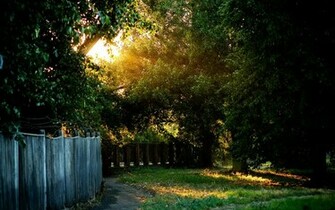Exclusive Wallpaper Nature