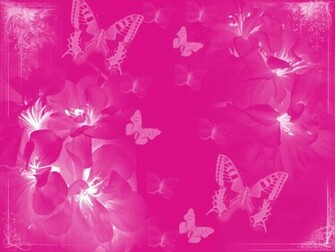 Pink Color Wallpaper