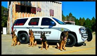 Dorchester County Sheriff S Office K Unit Desktop Sizes Available