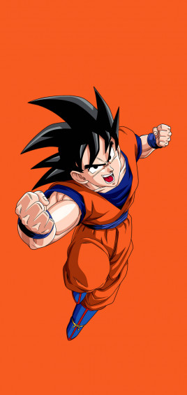 Black Hair Adult Son Goku iPhone Wallpaper