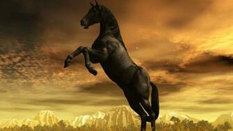 Black Stallion Wallpaper Full HD Desktop Res
