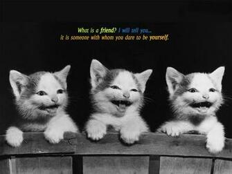 Friend Wallpaper And Image