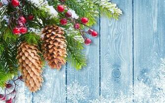 Christmas Tree Branch Mistletoe Desktop Wallpaper