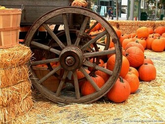 Fall Pumpkins Pictures Pumpkin Wallpaper Arrangement